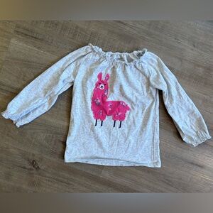 🌺10/$20 Gray Long Sleeve Top with Pink Llama